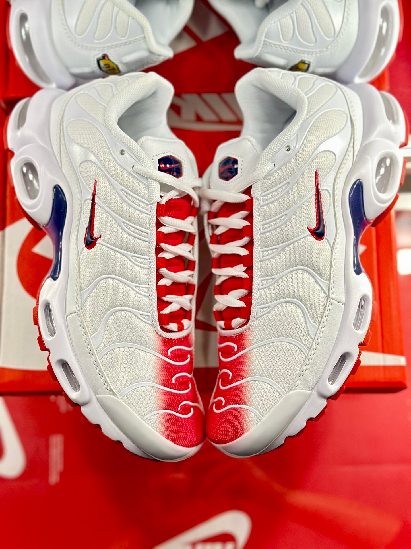 Nike Air Max Plus Bloodshot