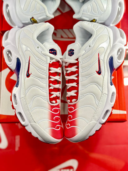 Nike Air Max Plus Bloodshot