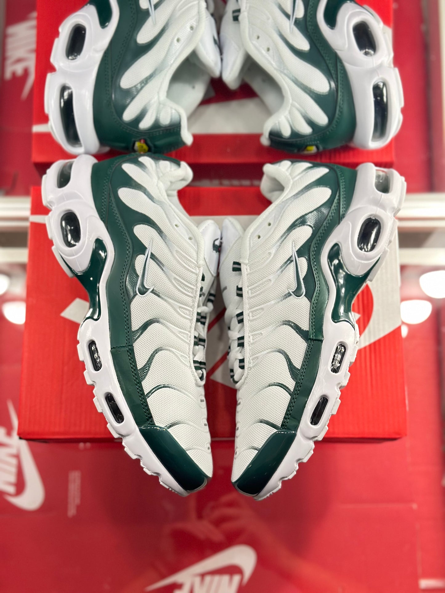 Nike Air Max plus X Lacoste