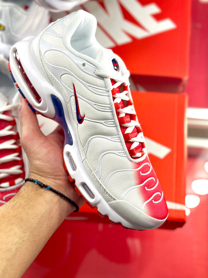 Nike Air Max Plus Bloodshot